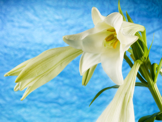 426475 (a): :1600x1200